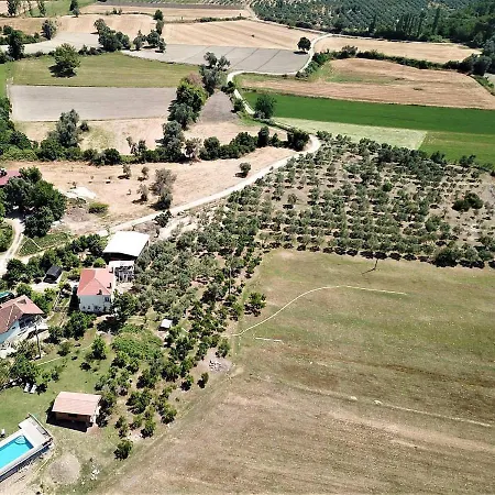 بيت ضيافة Yesil Kelebek Ev Kadikoy (Fethiye)