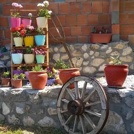 Konukevi Yesil Kelebek Ev