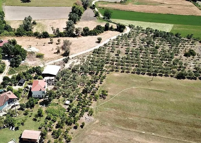 Гостевой дом Yesil Kelebek Ev Kadikoy (Fethiye)