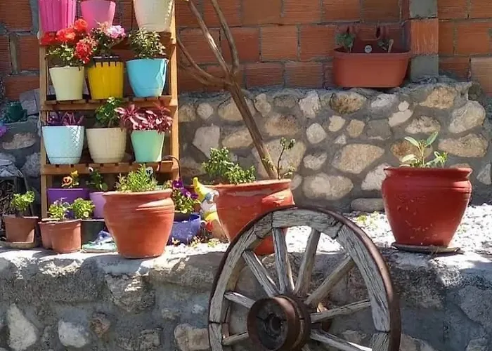 Гостевой дом Yesil Kelebek Ev